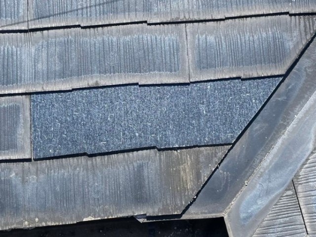 コロニアル　差替え後